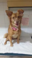 Julie