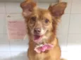 Julie