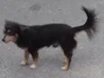 Sara