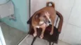 Teco