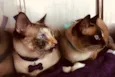 Tamires & Natasha