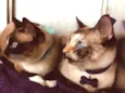 Tamires & Natasha