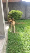 Maggie