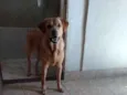Zeca