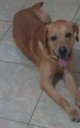 Zeca