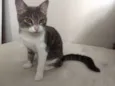 Mia