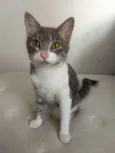 Mia