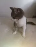 Mia