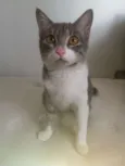 Mia