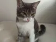 Mia