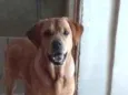 Zeca