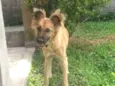 Maggie