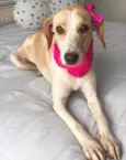Princesa