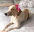 Princesa