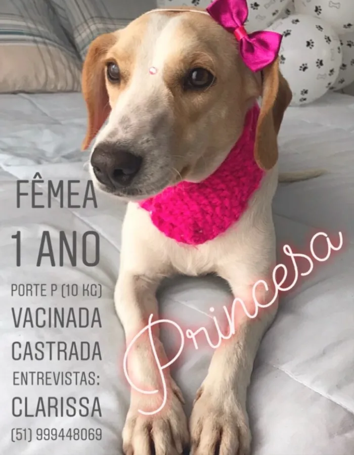 Cachorro ra a Sem raça definida  idade 1 ano nome Princesa