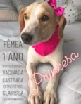 Princesa