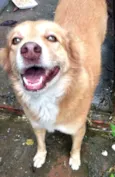 Mel