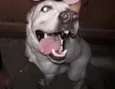 Marley Júnior 