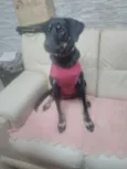 Bettina