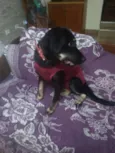 Bettina