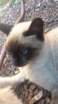 luca