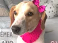 Princesa