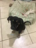 X4