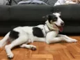 Tutti