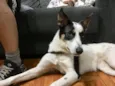 Tutti