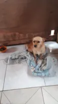 Lessie Linda e fofa 