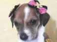 Bebês