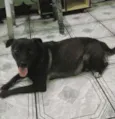 Neguinha