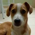 Tom