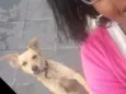 Dora