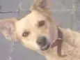 Dora