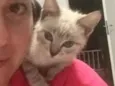 Lis
