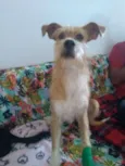 Lila