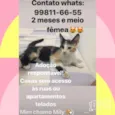 Sem nomes