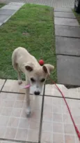 MEL