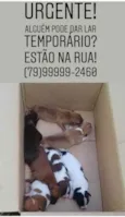 Sem nomes