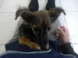 Não tem nome