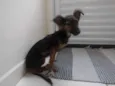 Não tem nome