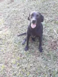 Lua