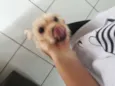 Mel
