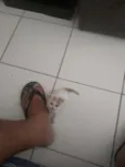 Não tem