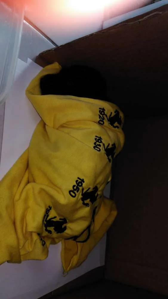 Cachorro ra a  idade Abaixo de 2 meses nome Meny