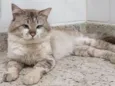 Ceará