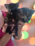 Docinho e lindinha