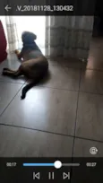 Thor e loqui