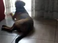 Thor e loqui